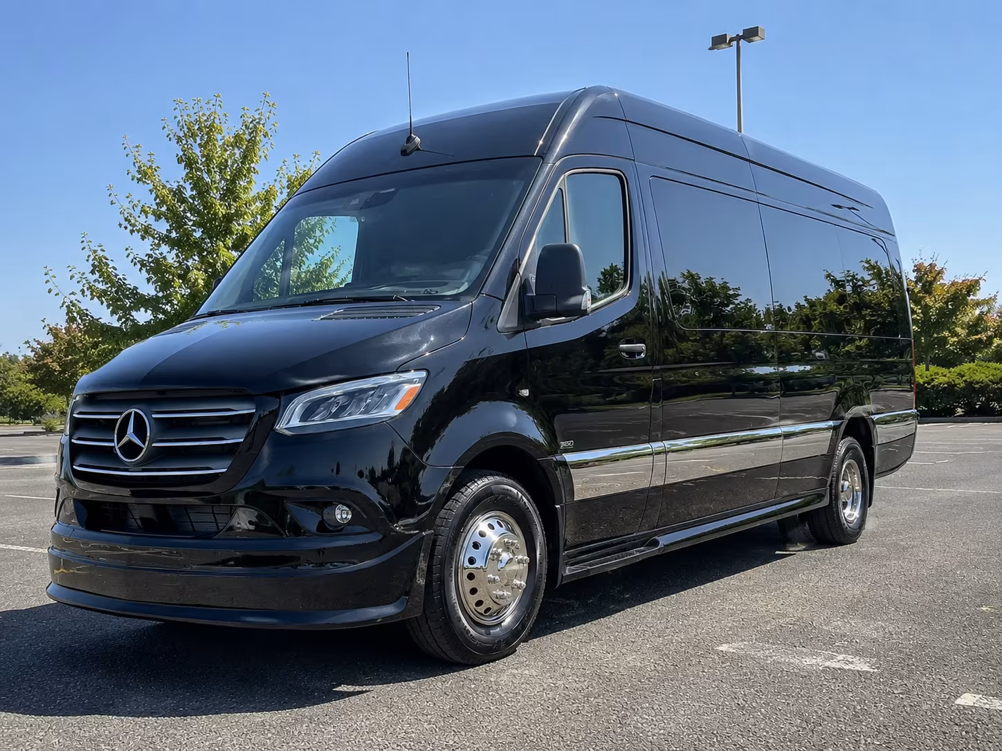 independence sprinter van with driver